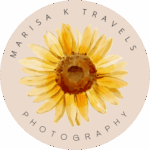 logo marisa
